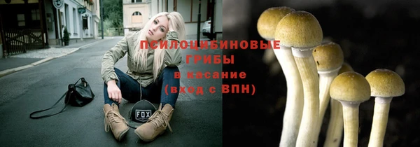 крисы Елизово