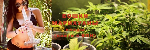 PSILOCYBIN Елабуга