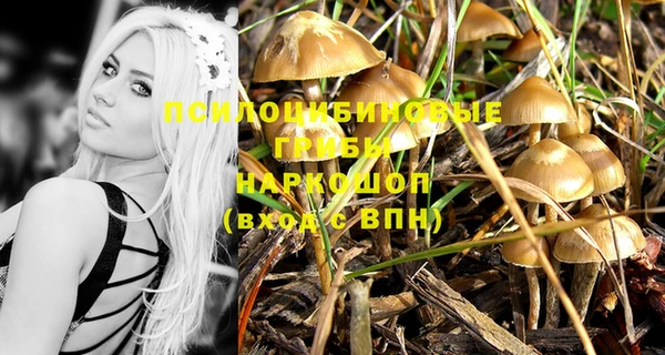 крисы Елизово
