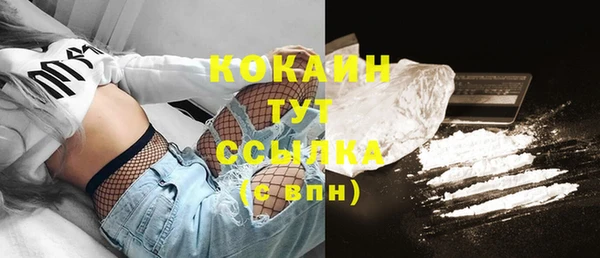 крисы Елизово
