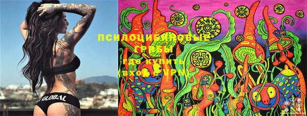 PSILOCYBIN Елабуга