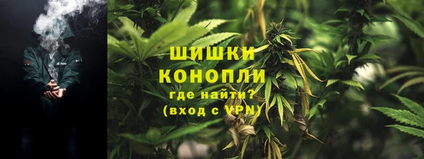 крисы Елизово